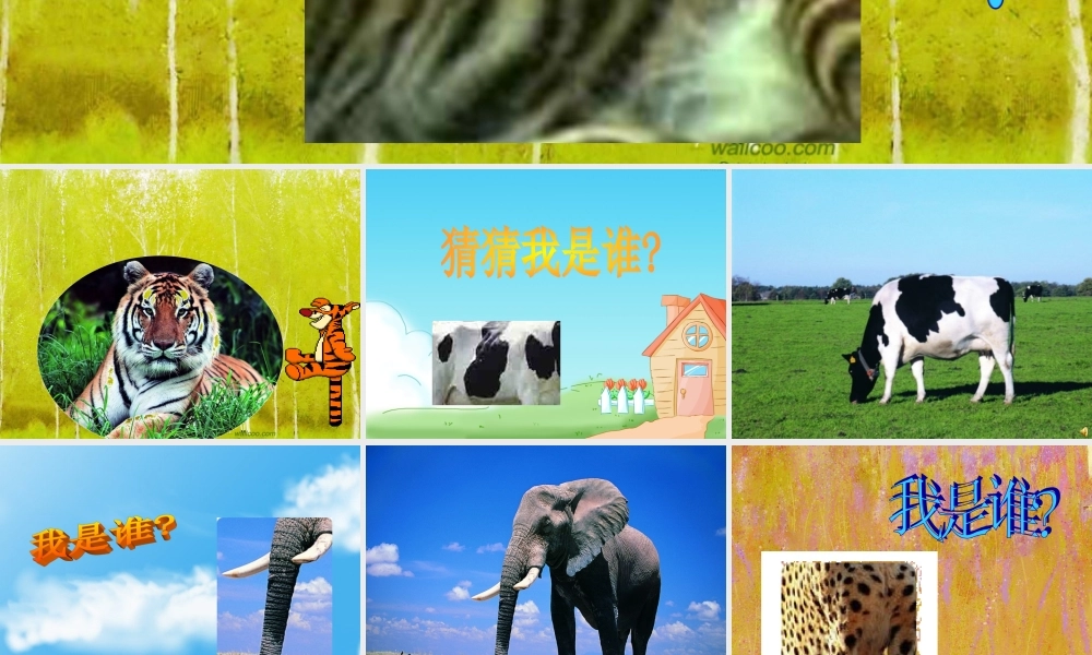 动物花花衣猜猜我是谁