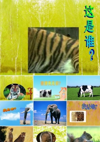 动物花花衣猜猜我是谁