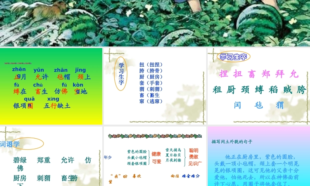 《少年闰土》课件4[1]