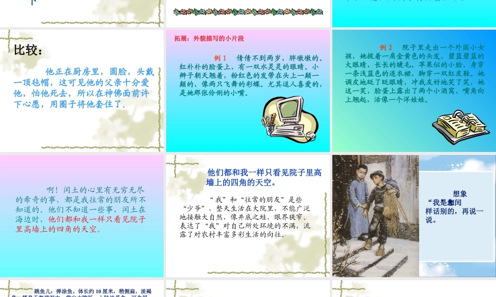 《少年闰土》课件4[1]