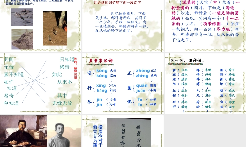 《少年闰土》课件4[1]