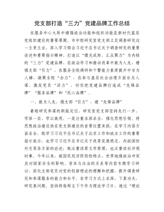 党支部打造“三力”党建品牌工作总结