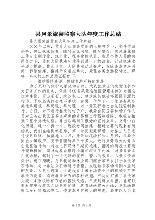 县风景旅游监察大队年度工作总结_1