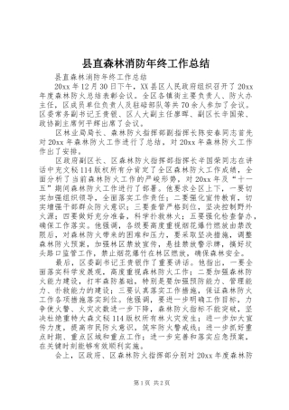 县直森林消防年终工作总结_1