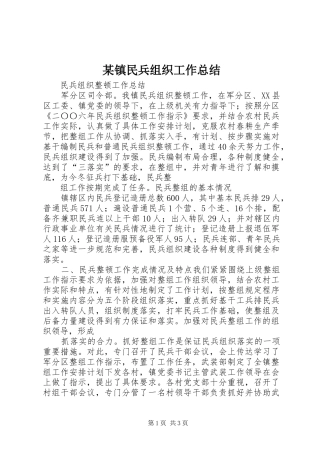 某镇民兵组织工作总结