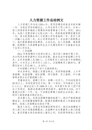 人力资源工作总结例文