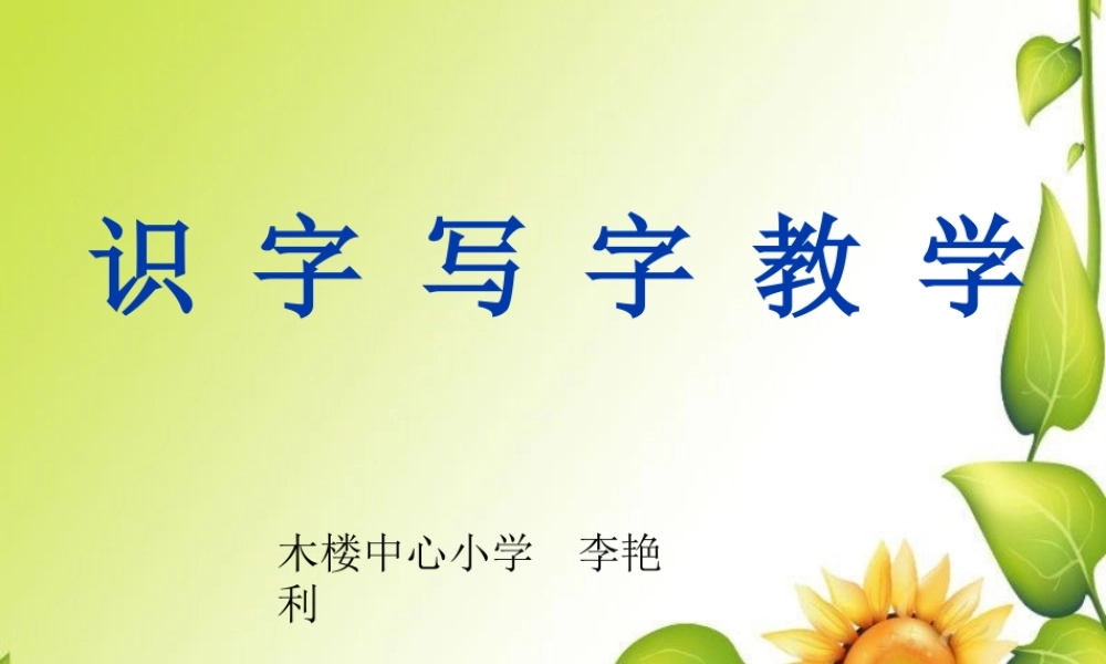 识字写字教学课件(3)