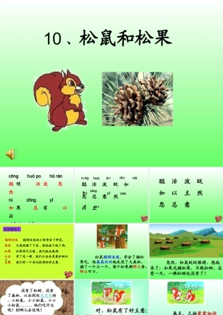 松鼠和松果PPt