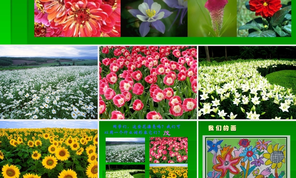 四册茂密的花1(2)
