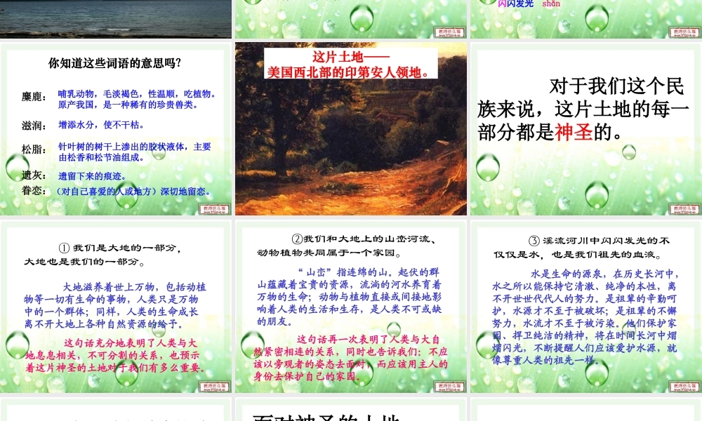 小学语文六年级上册这片土地是神圣的