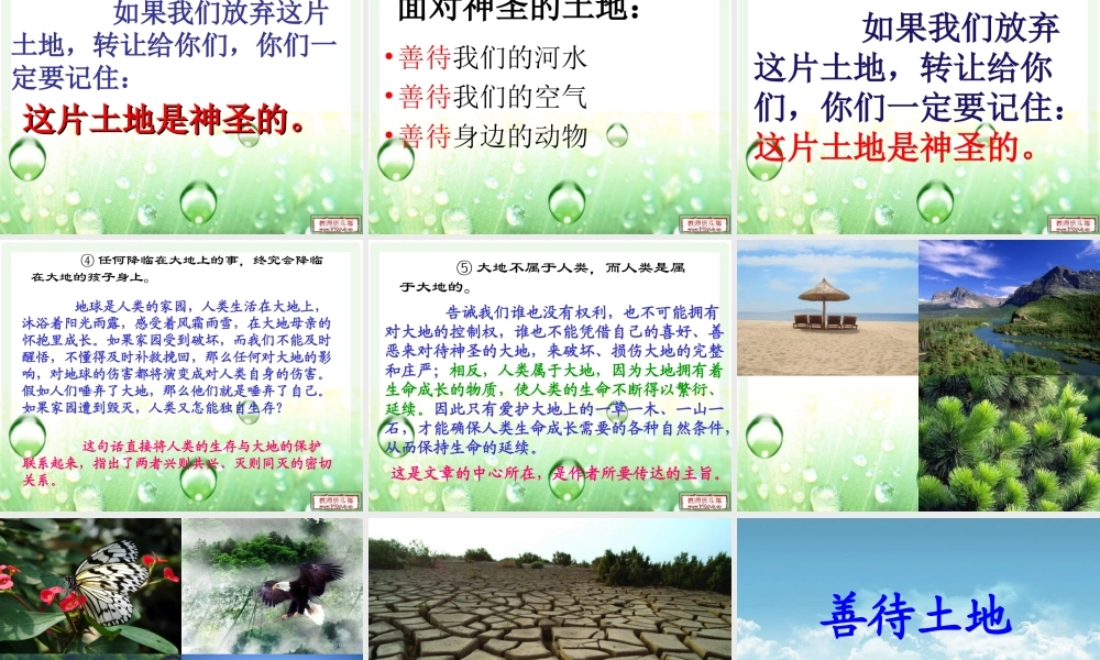 小学语文六年级上册这片土地是神圣的