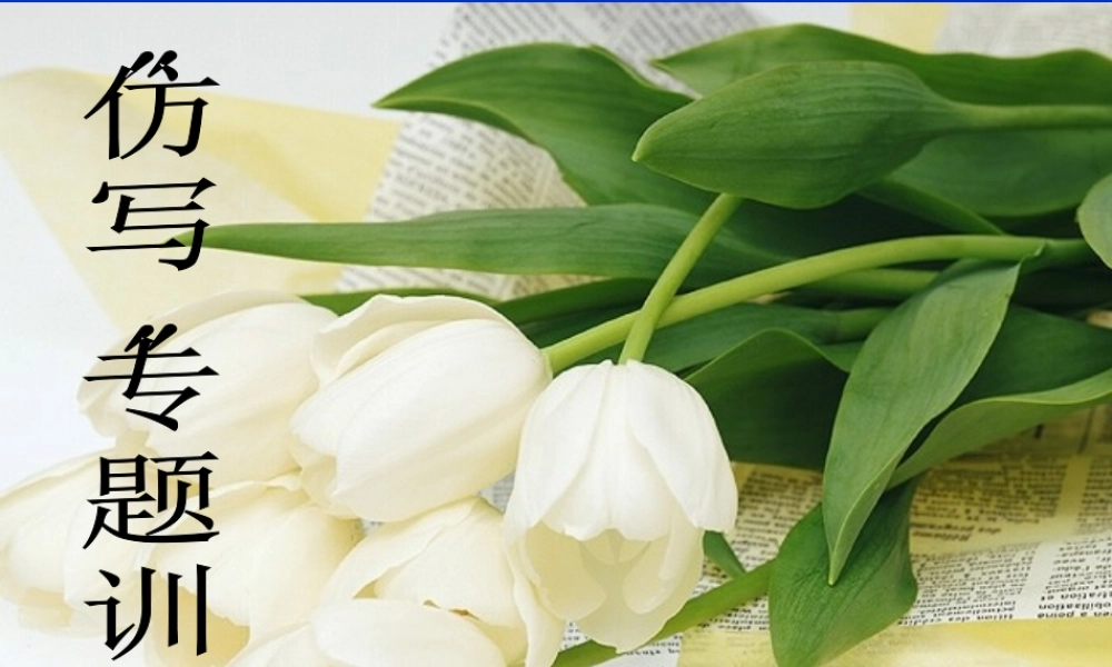 仿写训练聂晓敏