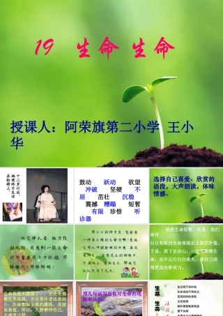 生命生命幻灯片
