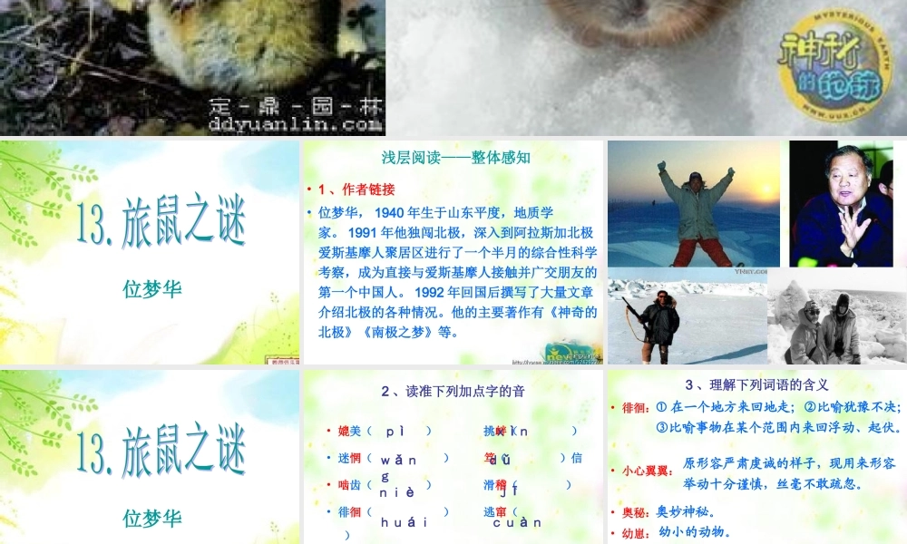 旅鼠之谜浅层阅读深层阅读语文积累共张PPT