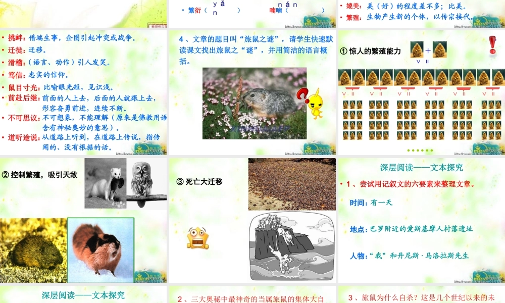 旅鼠之谜浅层阅读深层阅读语文积累共张PPT