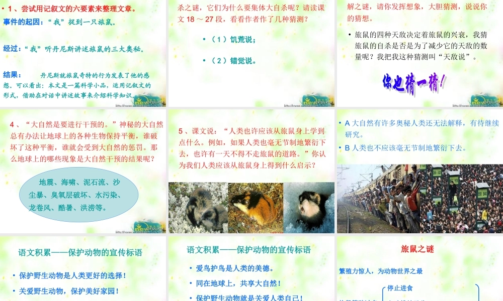 旅鼠之谜浅层阅读深层阅读语文积累共张PPT