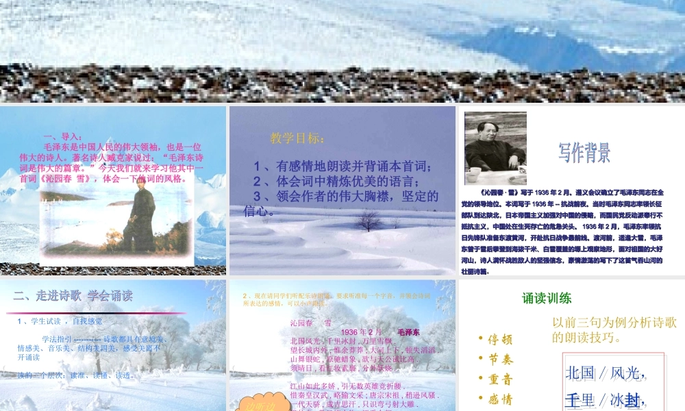 沁园春·雪（范文2）