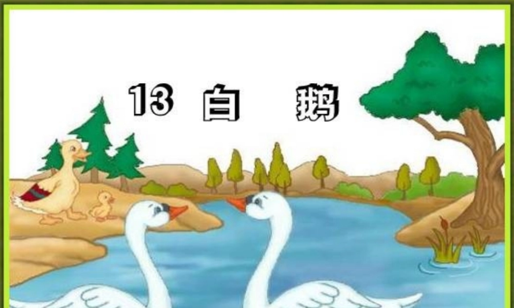 人教版四年级语文上册13白鹅(精品课件)