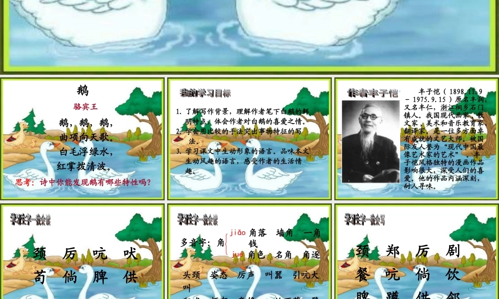人教版四年级语文上册13白鹅(精品课件)