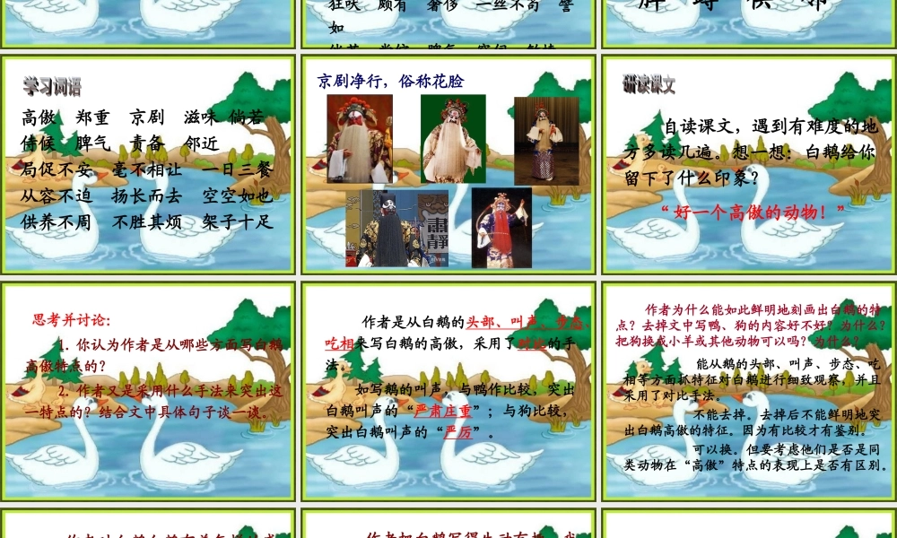 人教版四年级语文上册13白鹅(精品课件)