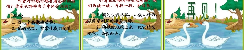 人教版四年级语文上册13白鹅(精品课件)