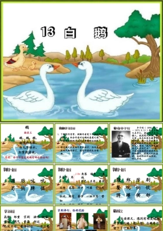 人教版四年级语文上册13白鹅(精品课件)
