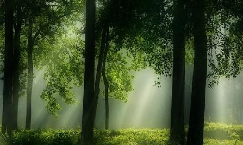 红领巾真好PPT课件