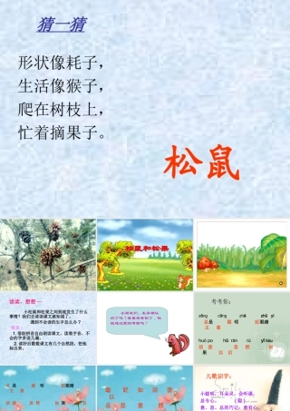 松鼠和松果修改后的课件1