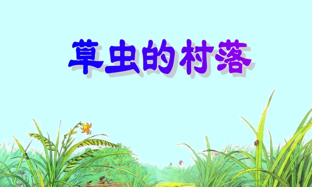 草虫的村落_PPT课件