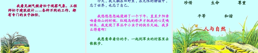 草虫的村落_PPT课件