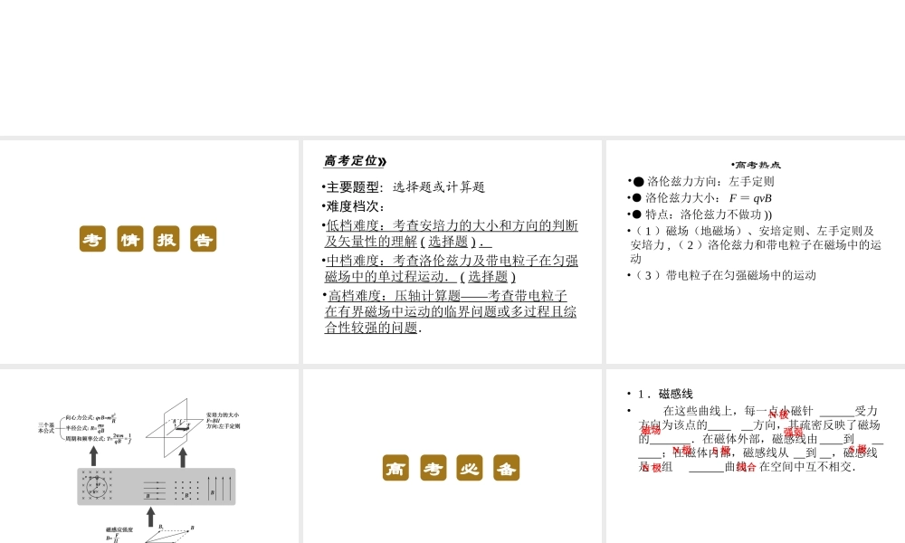 2013年高三物理二轮锁定高考课件：37磁场中常考的3个问题