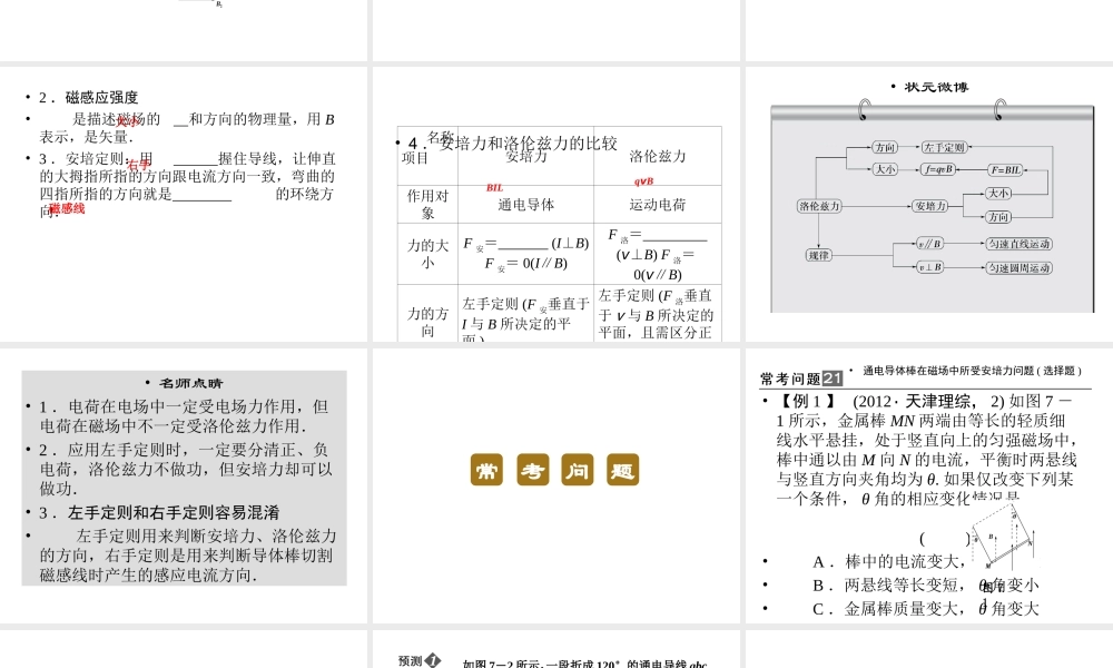 2013年高三物理二轮锁定高考课件：37磁场中常考的3个问题