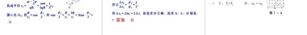 2013年高三物理二轮锁定高考课件：37磁场中常考的3个问题
