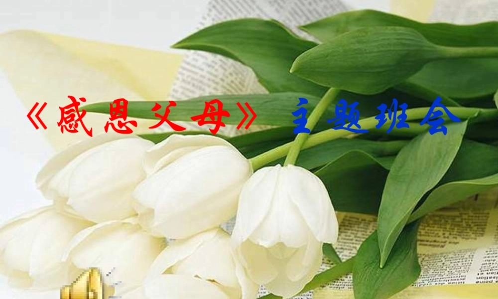 感恩父母_主题班会 (2)