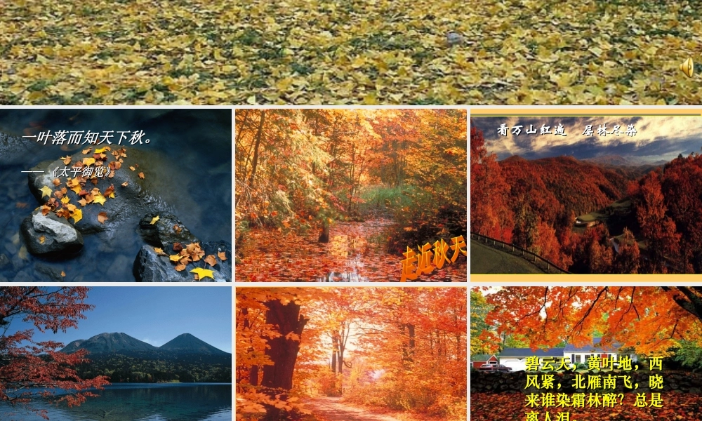 《故都的秋》课件1