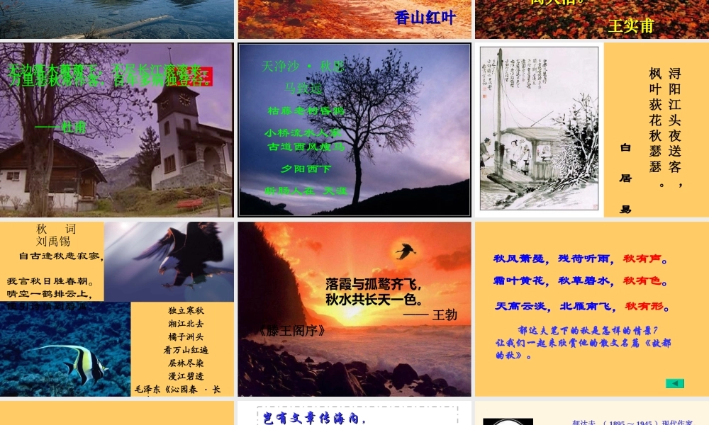 《故都的秋》课件1