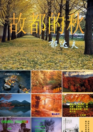 《故都的秋》课件1