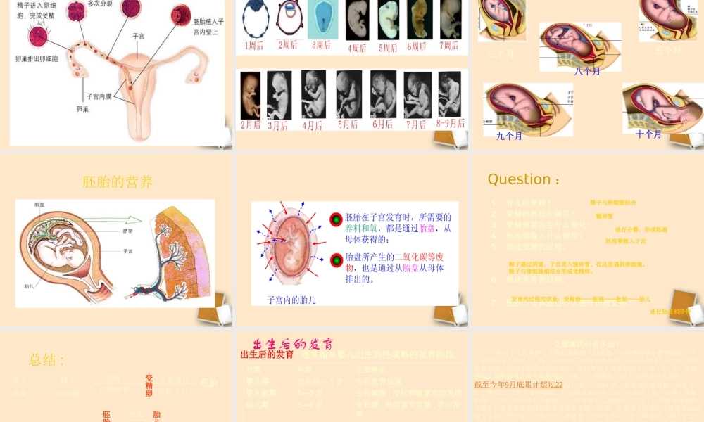 八年级生物上册人的生殖和发育课件人教新课标版