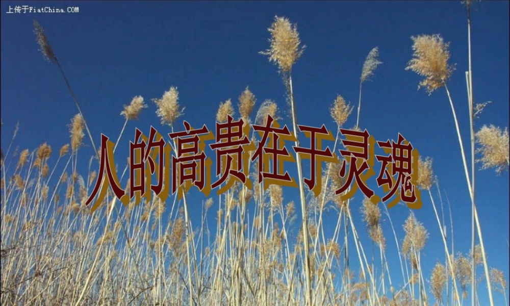 人的高贵在于灵魂课件(原创) (2)