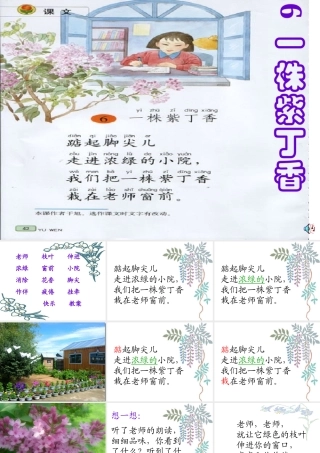 窗前一株紫丁香