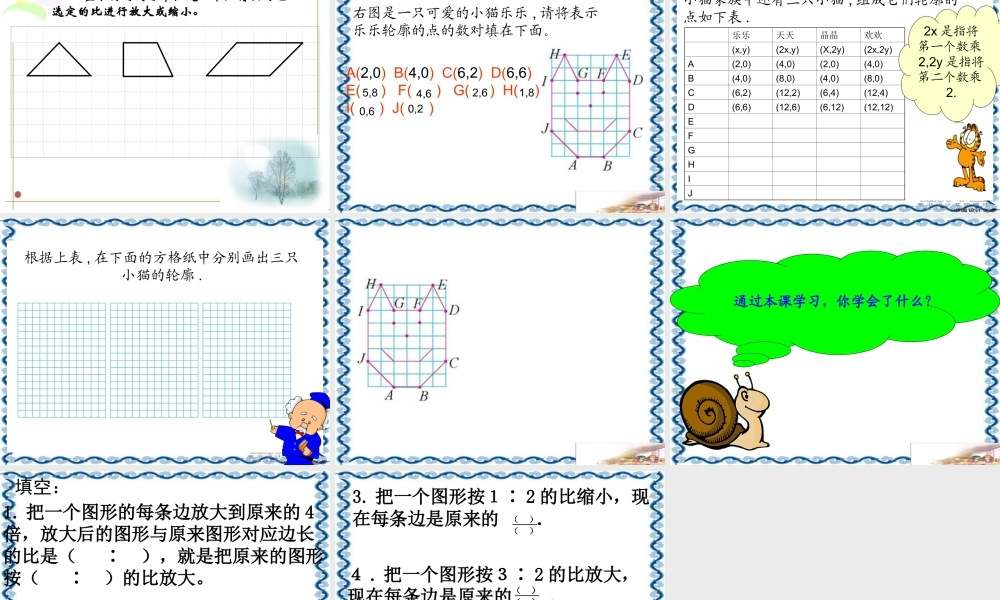 (北师大版)六年级数学下册课件_图形的放缩