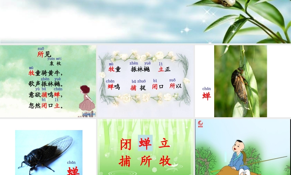 小学一年级下13古诗两首