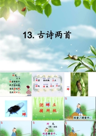 小学一年级下13古诗两首
