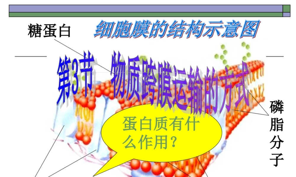 物质跨膜运输的方式hao