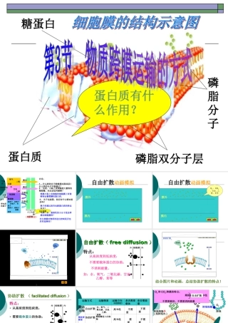 物质跨膜运输的方式hao