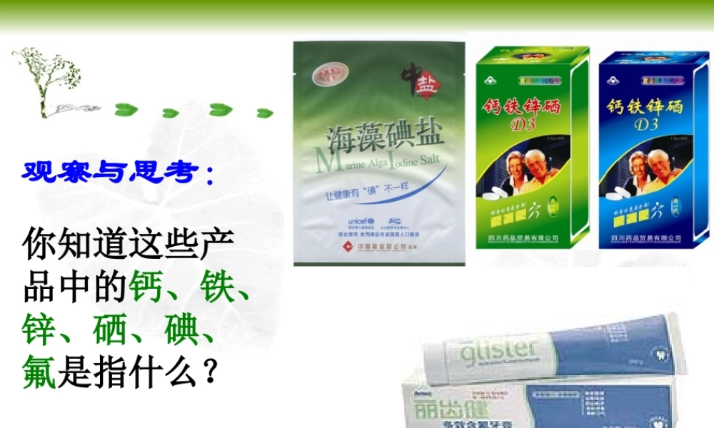 组成物质的化学元素（公开课）