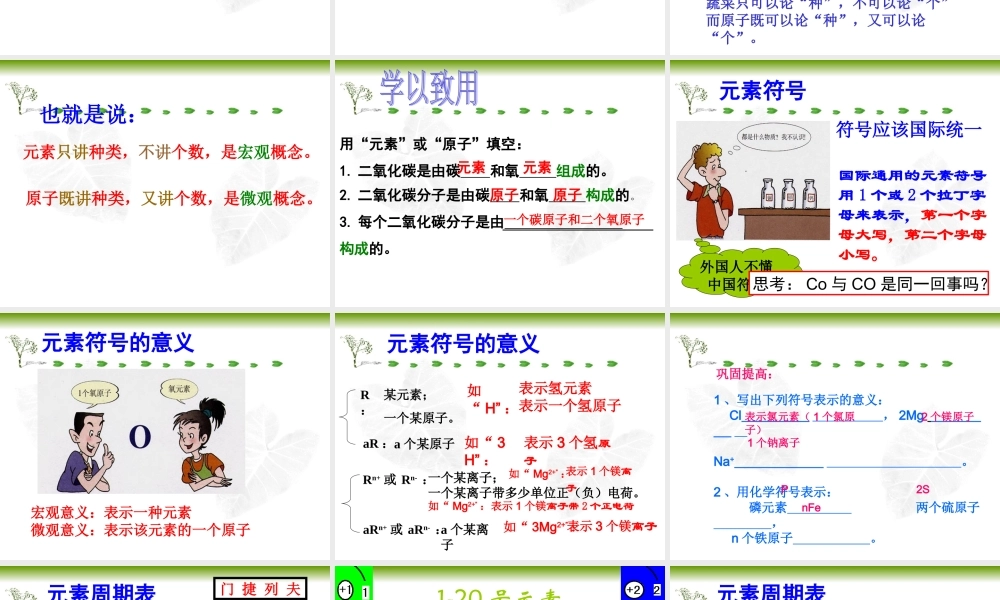 组成物质的化学元素（公开课）