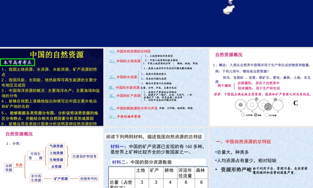 2013年区域地理复习_中国的自然资源