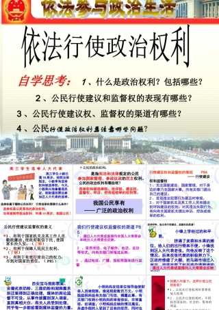 依法参与政治生活 (2)