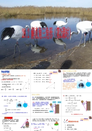 解直角三角形第课时课件人教新课标九年级下